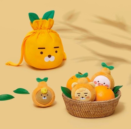 폴인럽제주 이미지