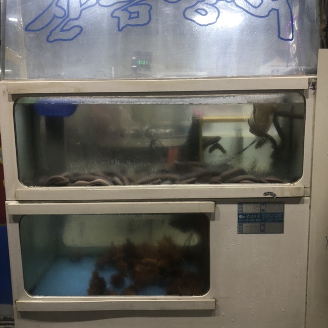 태영생막창곰장어 이미지