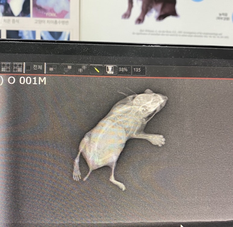 이앤박 이미지