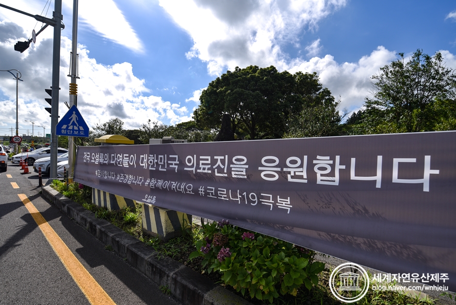 안덕자동차마을 이미지