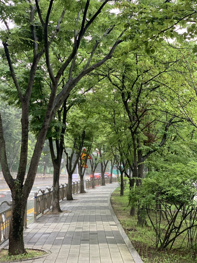 서혜정원 이미지