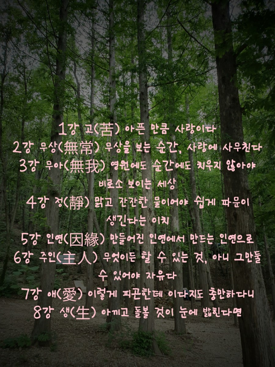 지식을지혜로 이미지