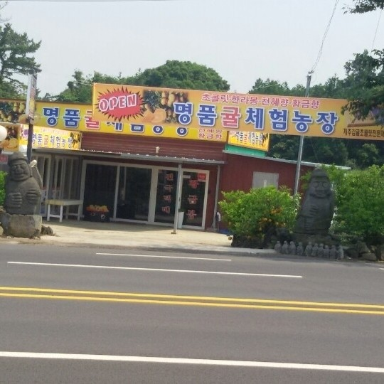 사라애드 이미지