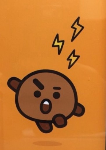 슈키 이미지