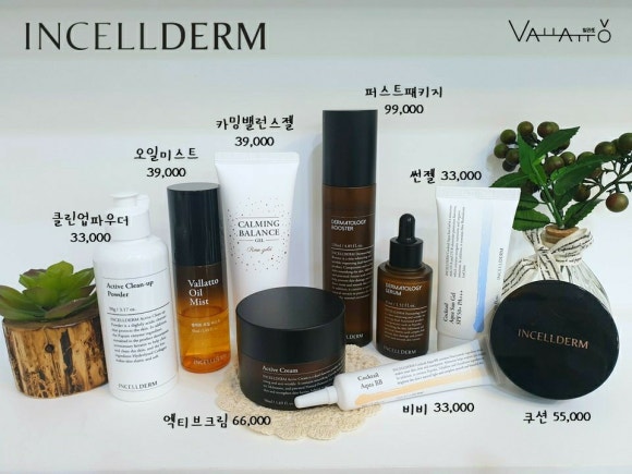 인셀덤 대구 이미지