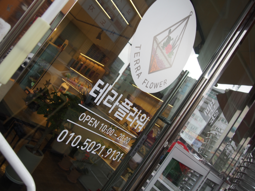 테라플라워 이미지