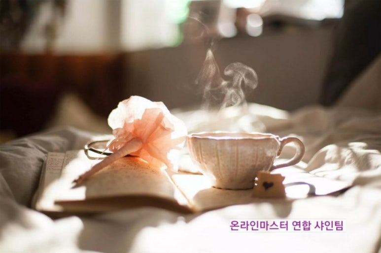 노마드(주) 이미지