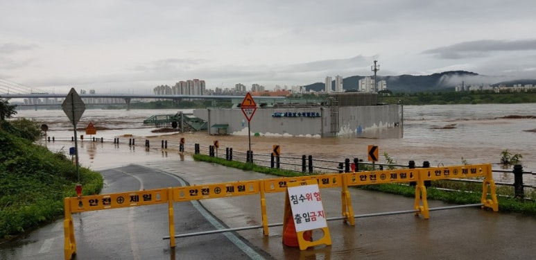 무궁화 정원 이미지