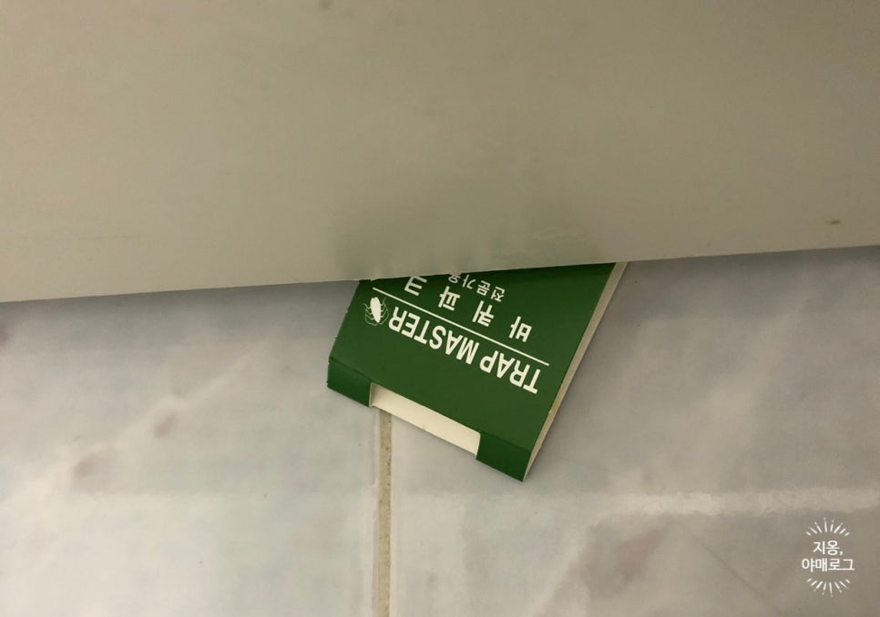 자바드림 이미지