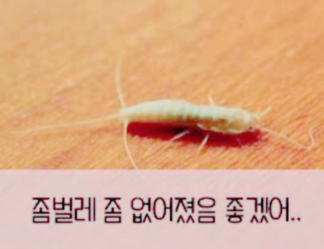 로취버스터즈 이미지