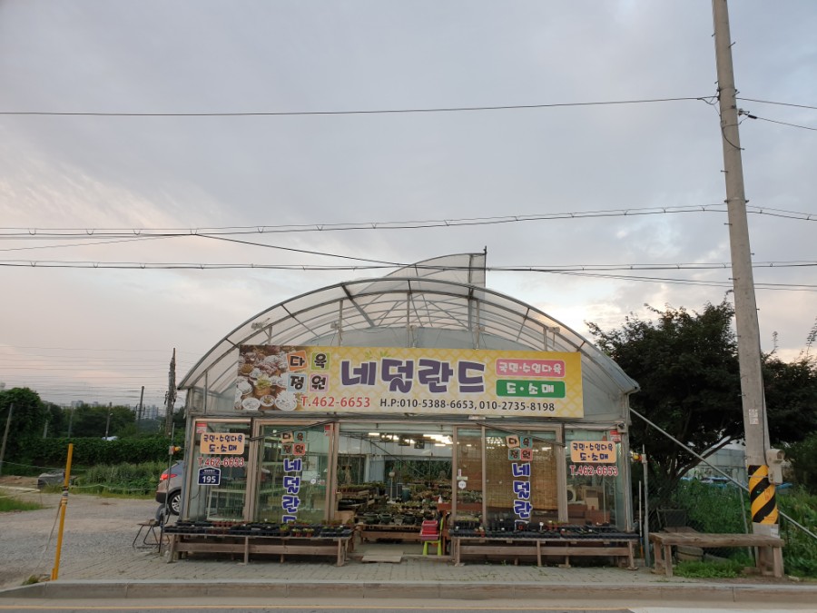 다육정원네덜란드 이미지