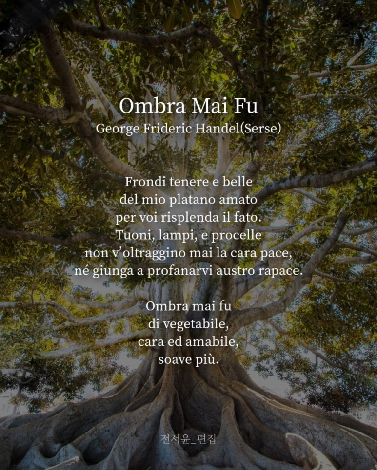푸(Fu) 이미지