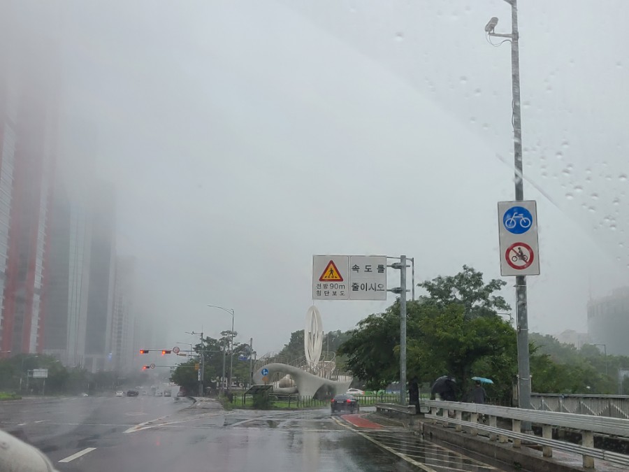 박복임바디스쿨 이미지