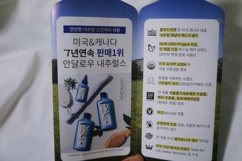 스텝셀 이미지