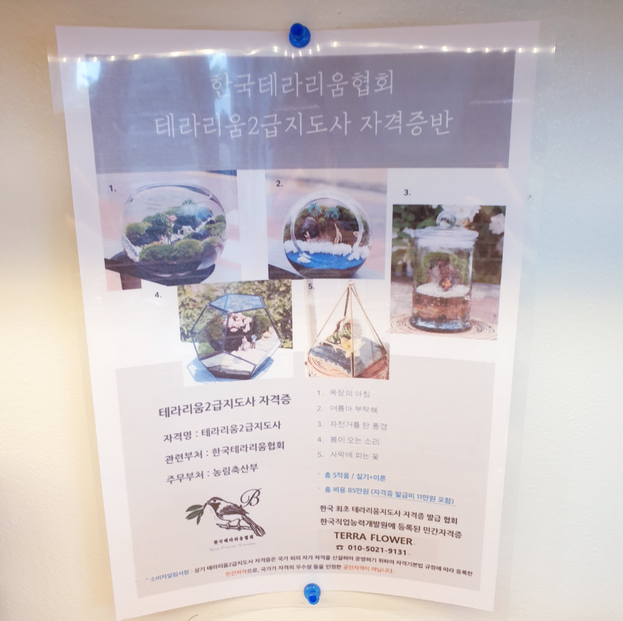 테라플라워 이미지