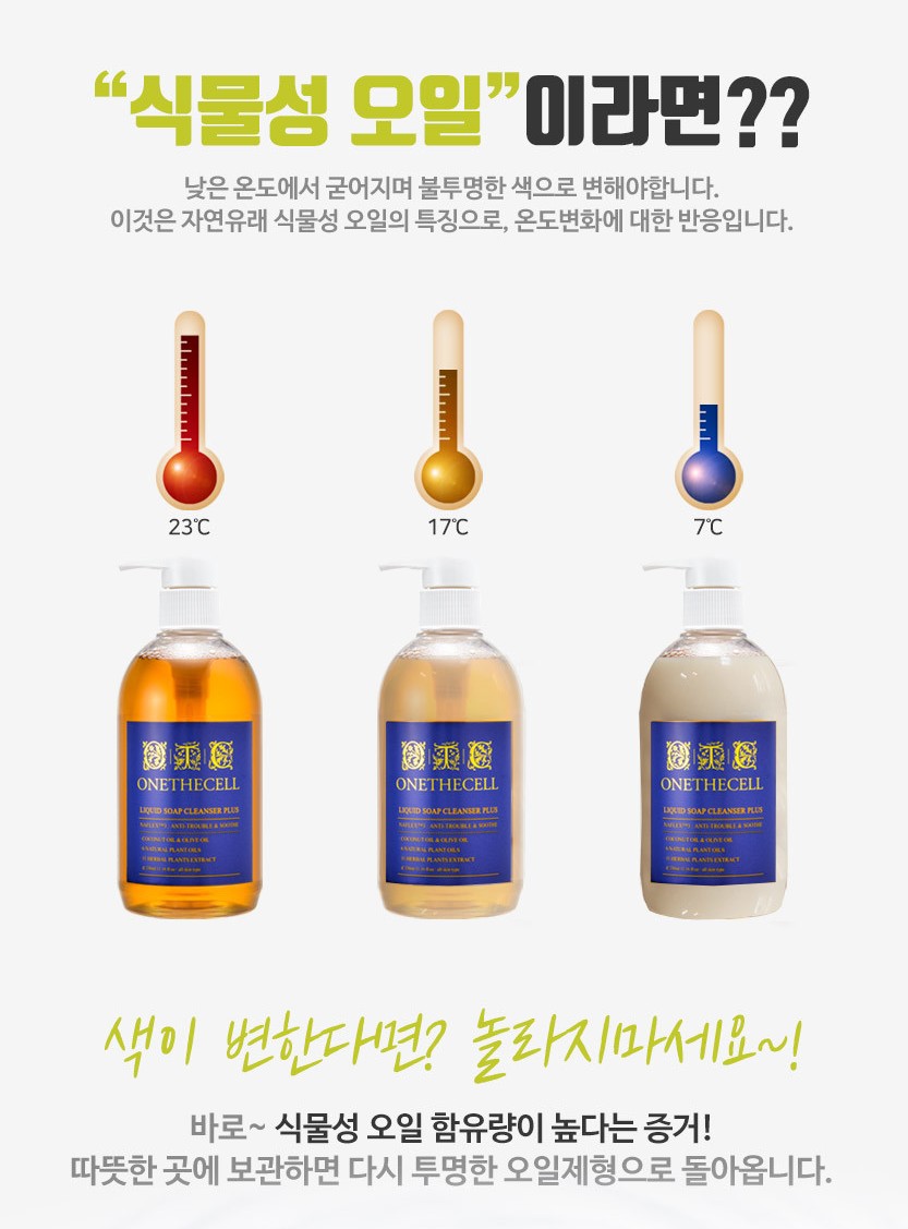 원더에셀 이미지
