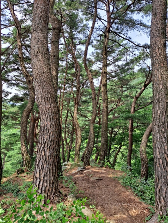 심거계곡펜션 이미지