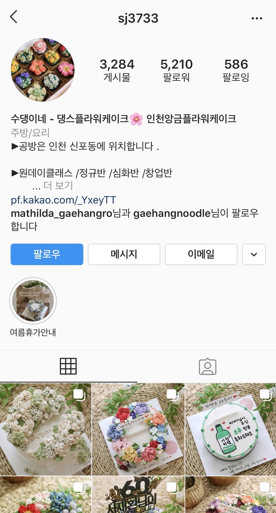 댕스플라워 이미지