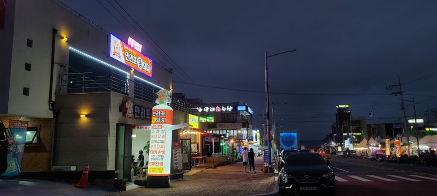 만리포똥돼지 이미지