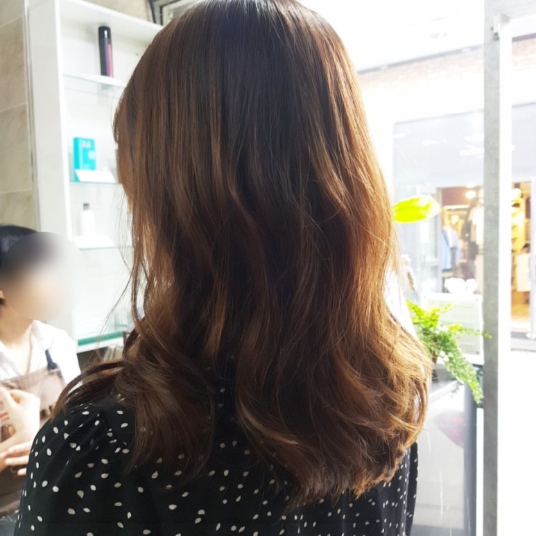 헤어아리아 이미지