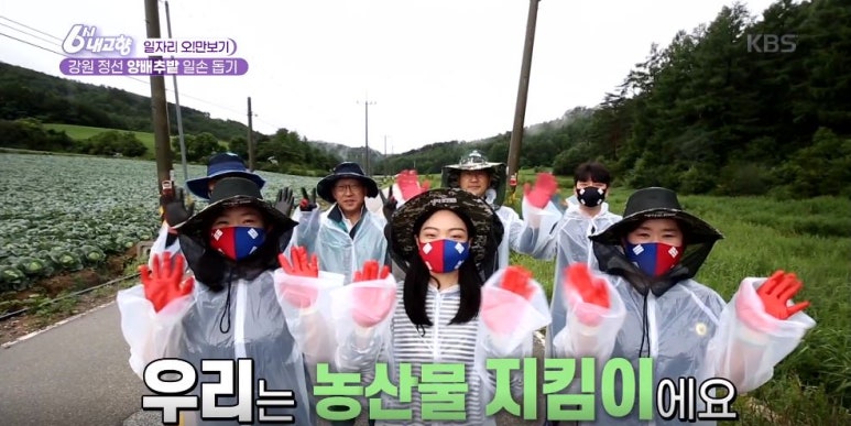 보나페리치타 이미지