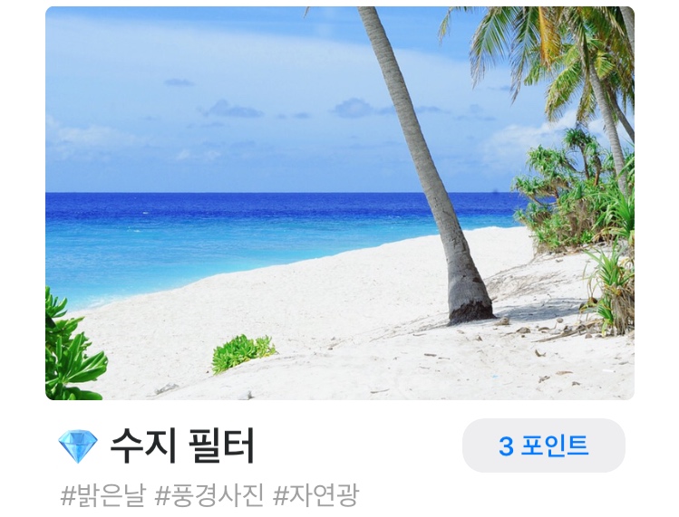 이벤트오렌지나무 이미지