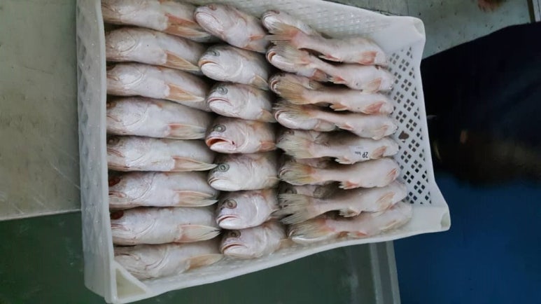 조은냉동 이미지