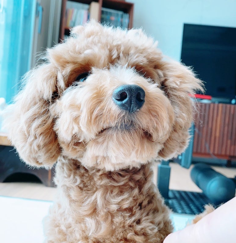 토리식품 이미지