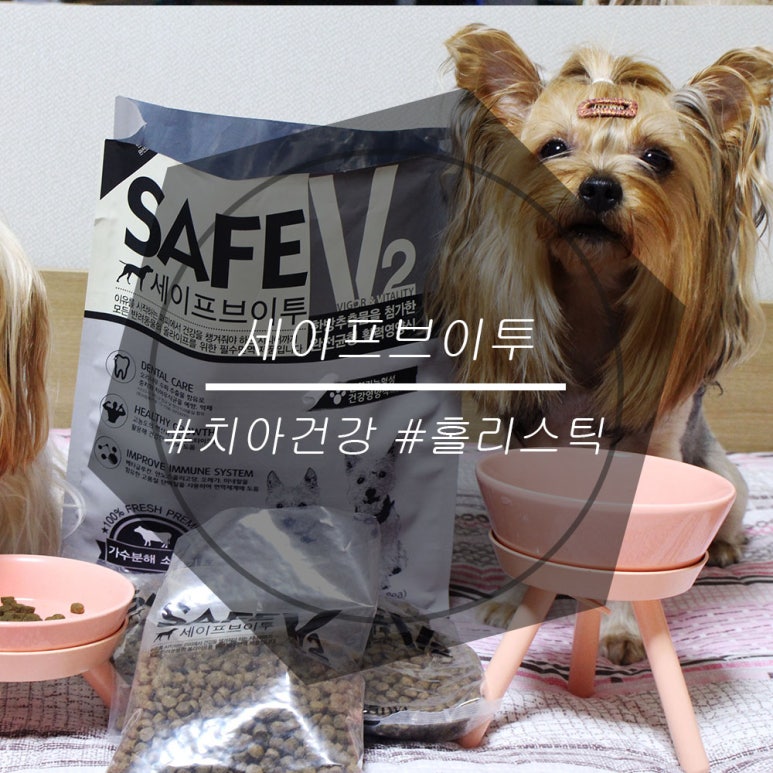 세이에프 이미지