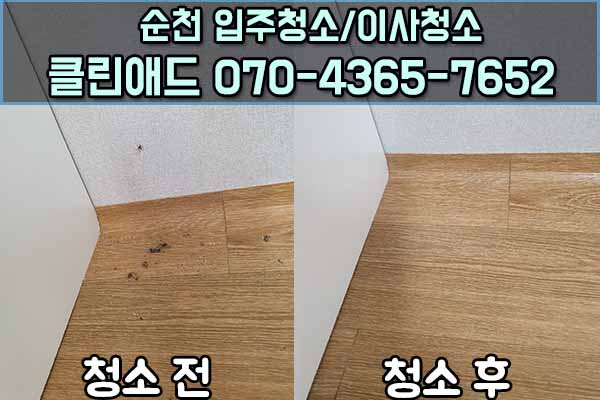 순천입주청소클린애드 이미지
