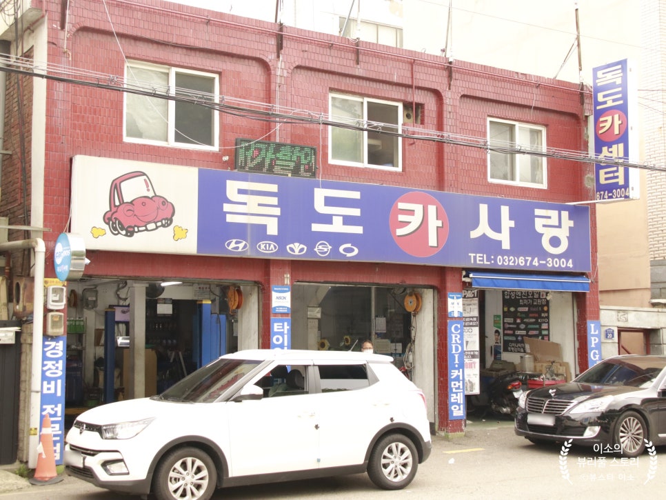 독도카사랑 이미지