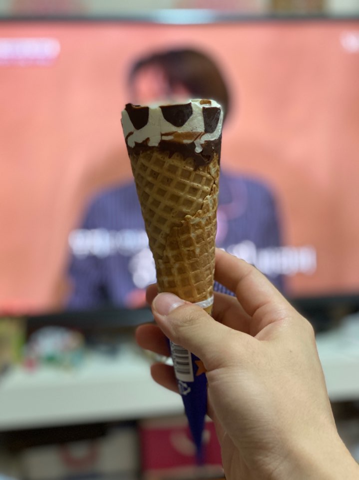 외대갈매기 이미지