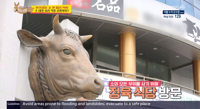 소한마리 이미지
