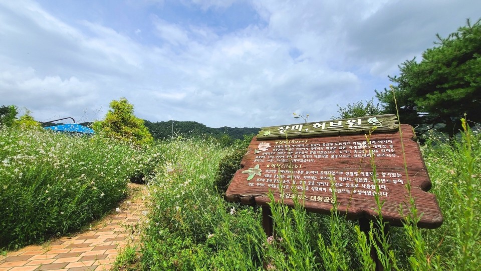 태양꽃식물원 이미지
