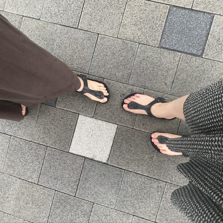 하루컴퍼니 이미지