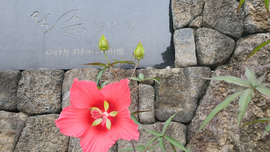 김인순의허니제주 이미지