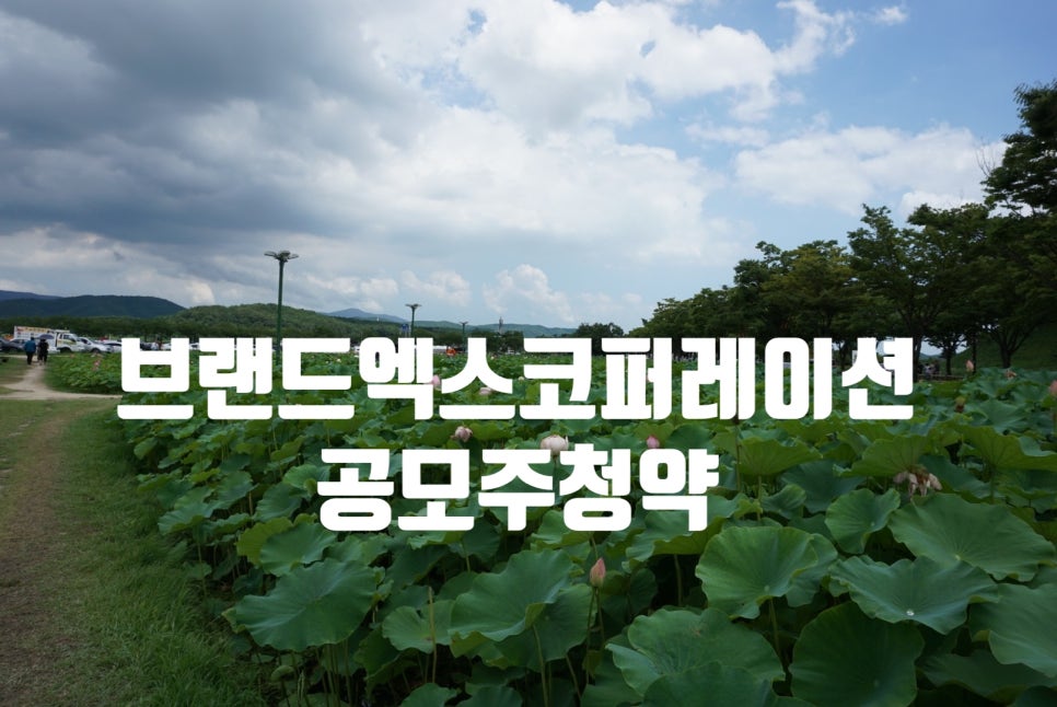 주식회사 엑스코퍼레이션 이미지