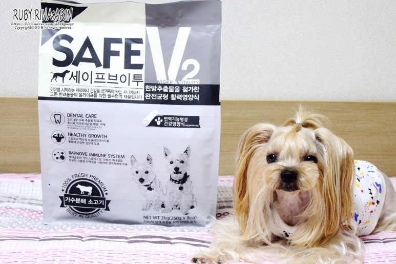 세이에프 이미지