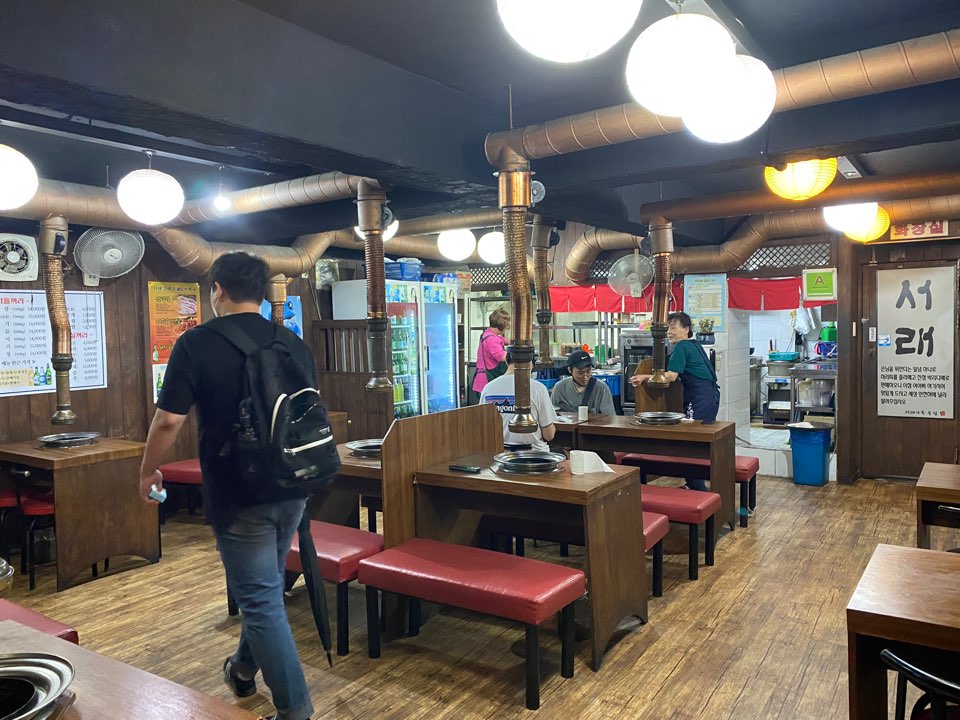 외대갈매기 이미지