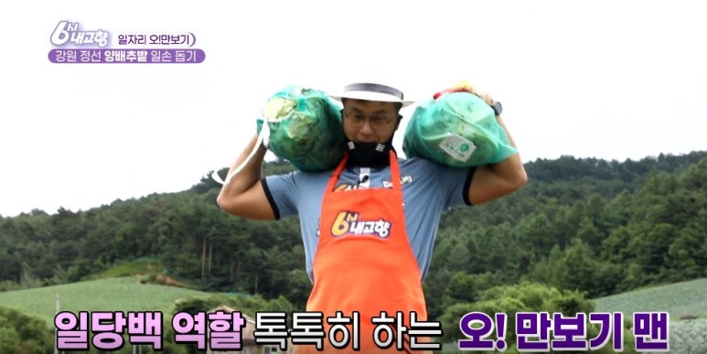 보나페리치타 이미지