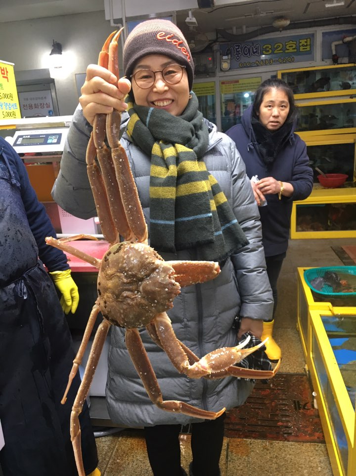 속초세꼬시 이미지
