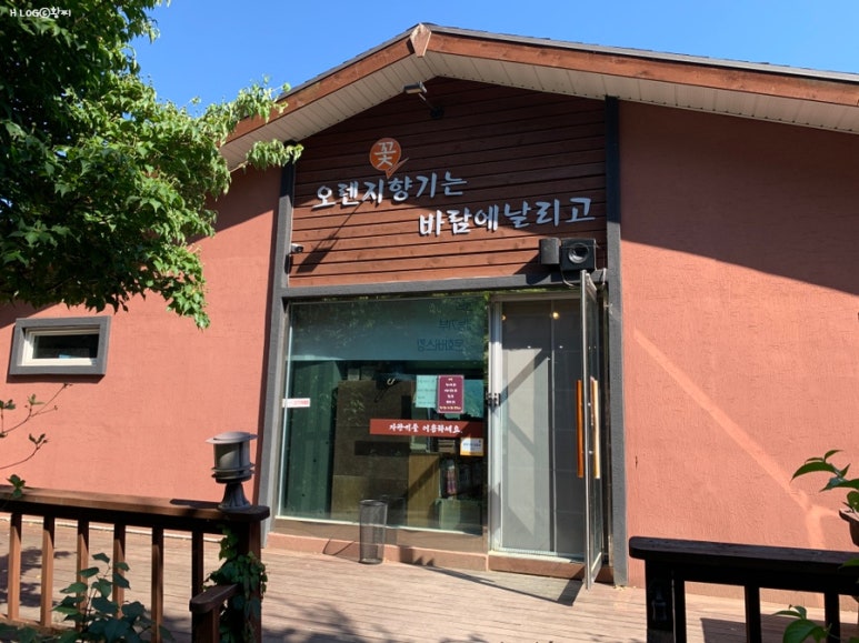오렌지꽃향기는바람에날리고 이미지