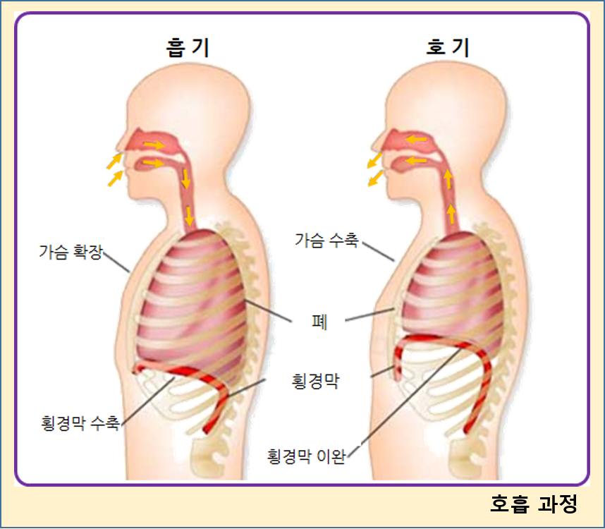 짐큐어 이미지