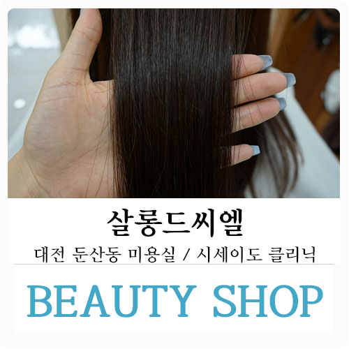 살롱드씨엘 이미지