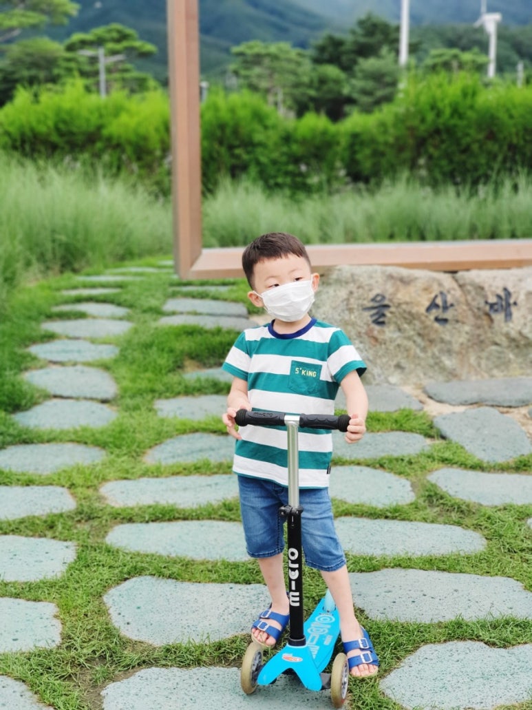미리씽씽과일 이미지