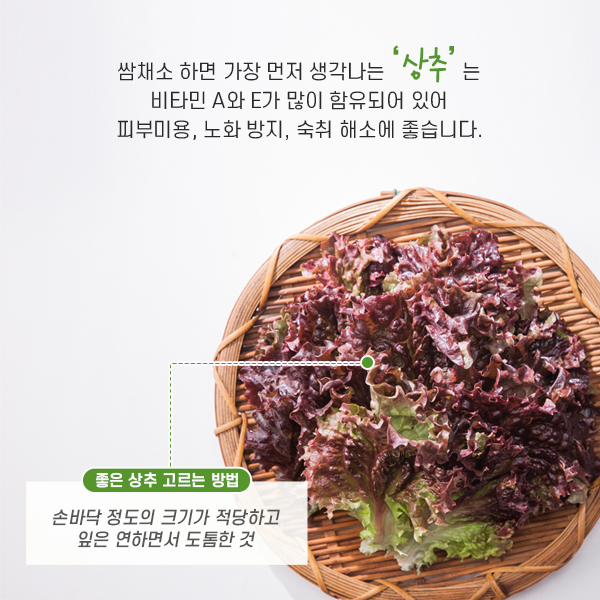 한입쌈 이미지