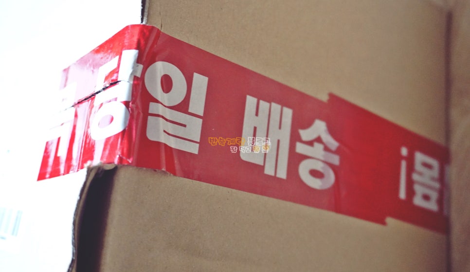 더마시쩡 이미지