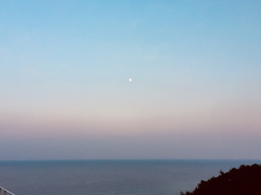 동해바다처럼 이미지