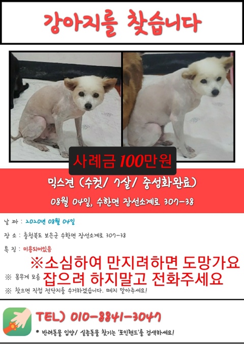 얌이 이미지