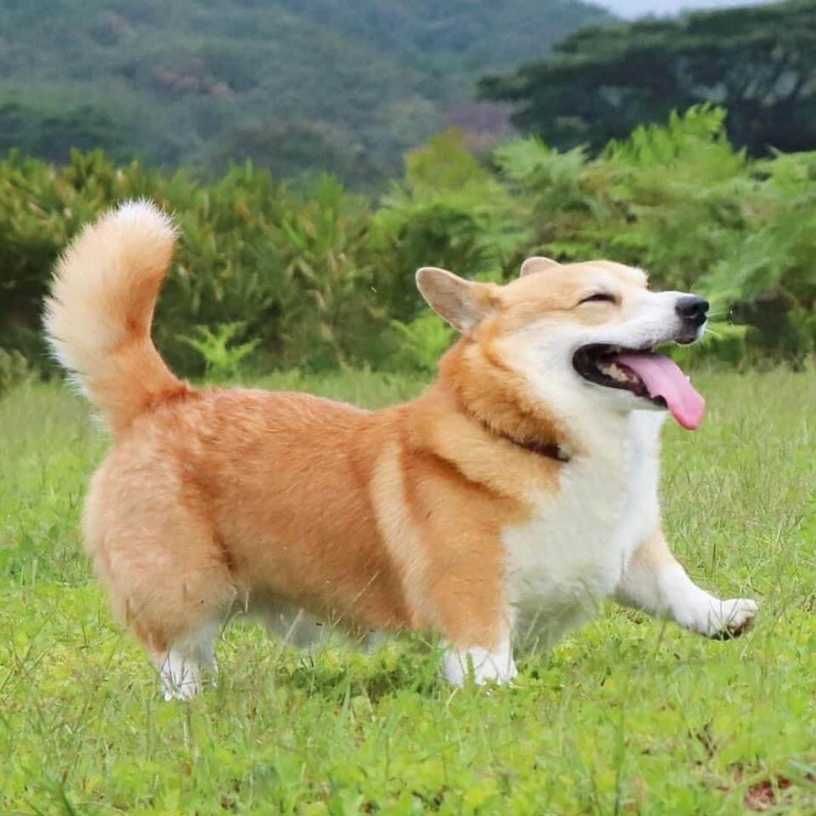 야미미용실 이미지